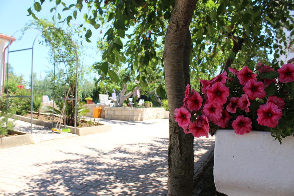 Penzion I Sapori Del Gargano Vieste Exteriér fotografie